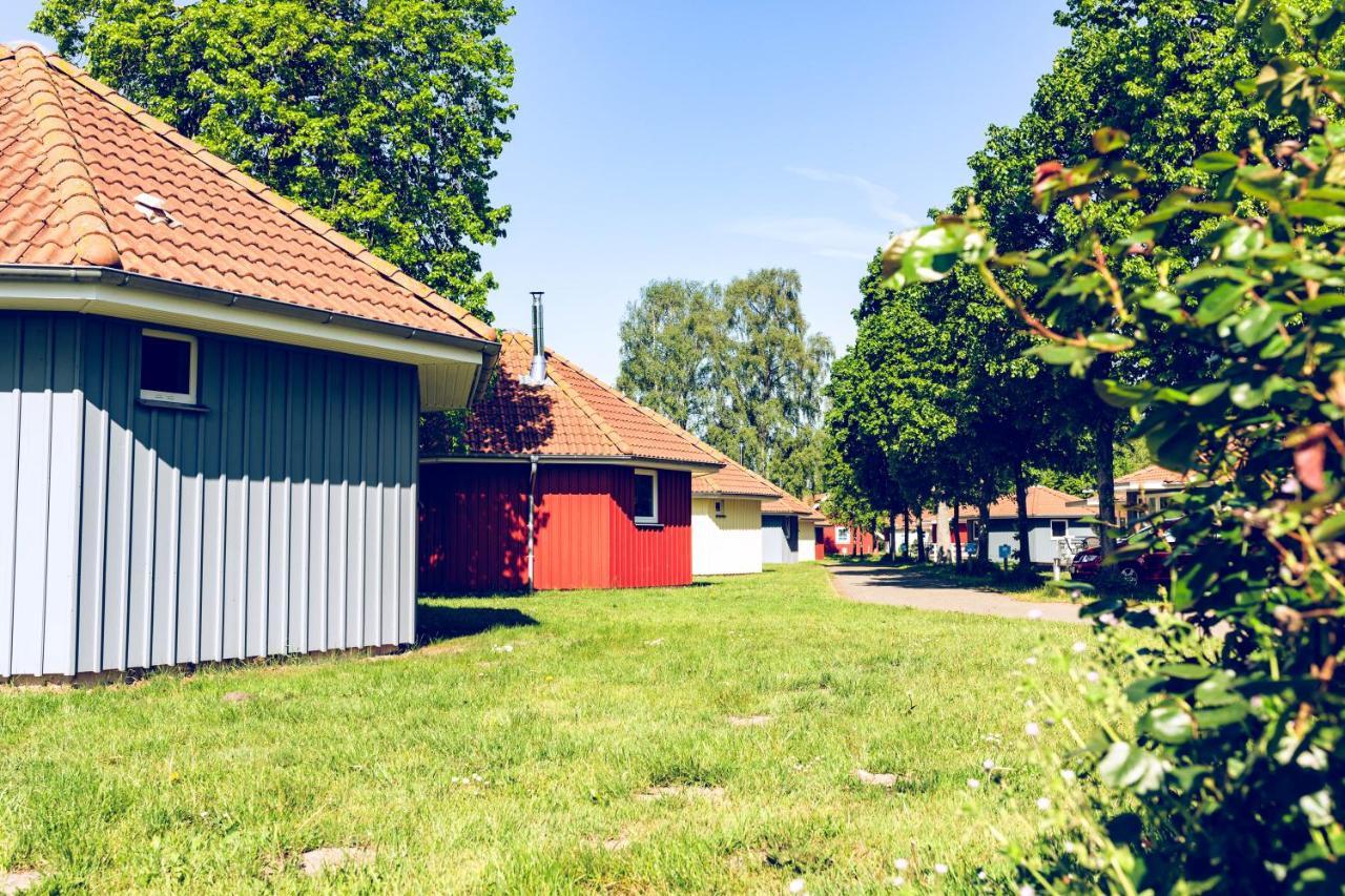 Regenbogen Campsite